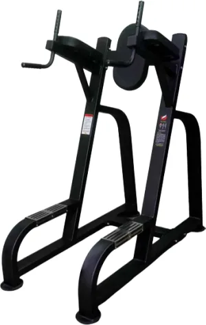 Parallel Bar Dips