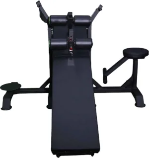 Dual Twister with Ab Board