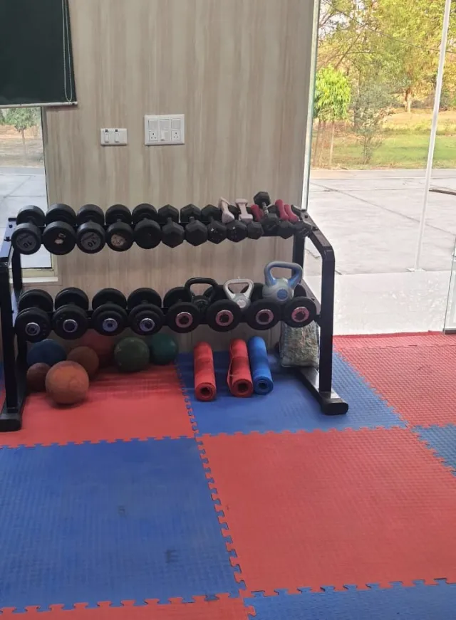 Indoor gym: weights, balls and mats
